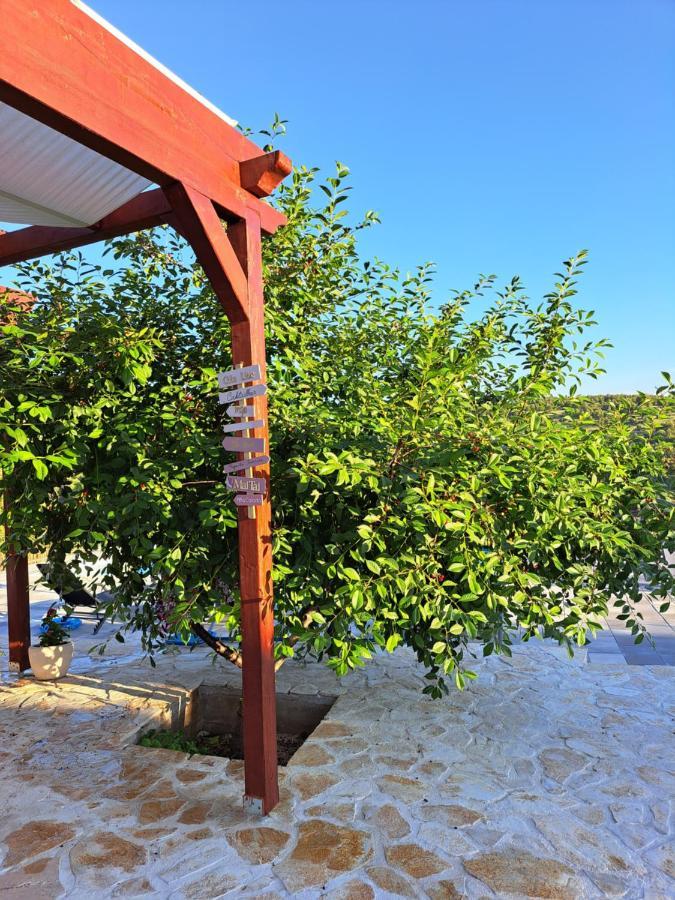 Guest House "The View" - With A Pool Donje Polje Esterno foto